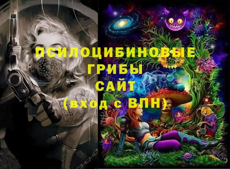 Псилоцибиновые грибы Psilocybe  Краснослободск 